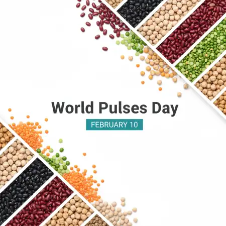 Free World Pulses Day Educational Content Background Download