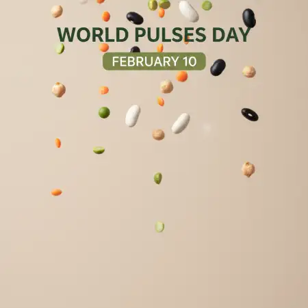Free World Pulses Day Legumes Poster Background Download