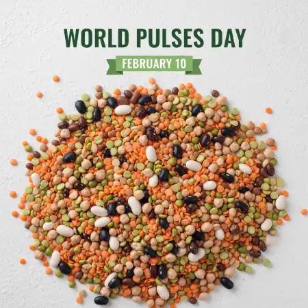 Free World Pulses Day Sustainable Food Background Download