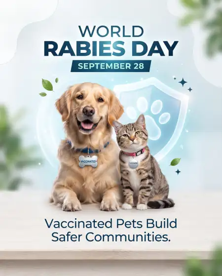 world rabies day 2026 pet vaccination social media post - World Cleanup Day 2026 Social Media Post Hd