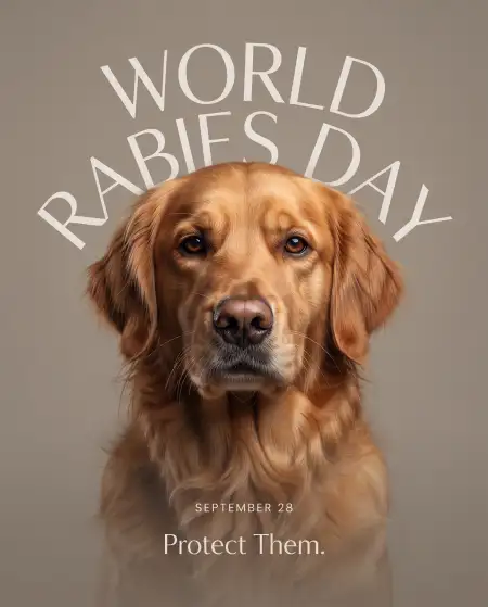 world rabies day 2026 poster ideas - World Rabies Day 2026