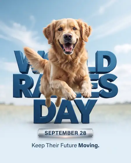 world rabies day 2026 social media campaign poster - World Cleanup Day 2026 Social Media Post Hd