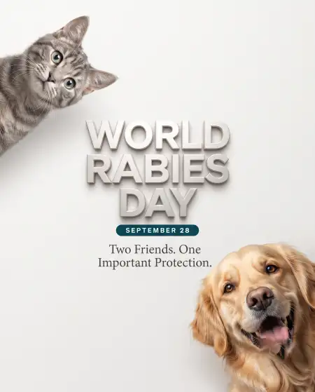 world rabies day dog and cat poster