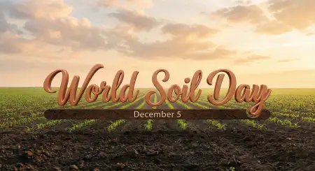 World Soil Day Hd Printable Certificate Design - Free World Soil Day Download