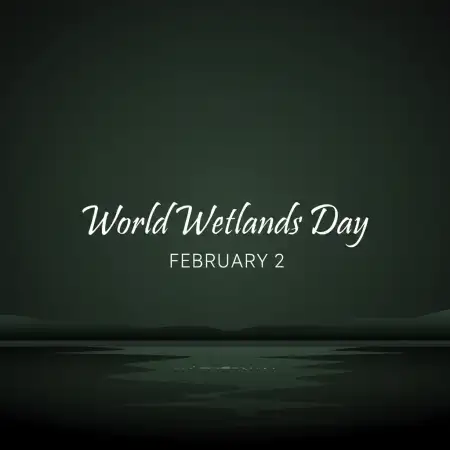 Free World Wetlands Day Background Background Download