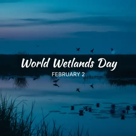 World Wetlands Day Blue Theme - Free Blue Download