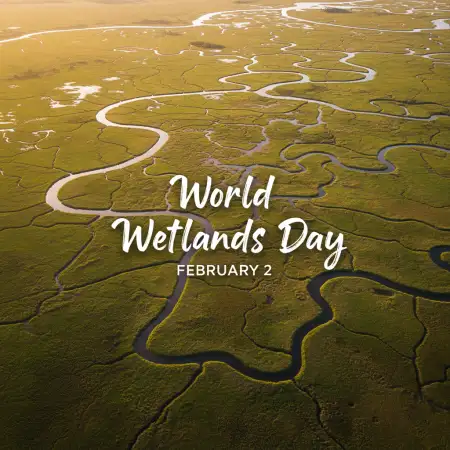 Free World Wetlands Day Climate Change Background Download
