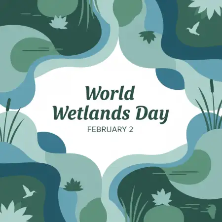 Free World Wetlands Day Conservation Background Download