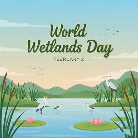 Free World Wetlands Day Environment Poster Background Download