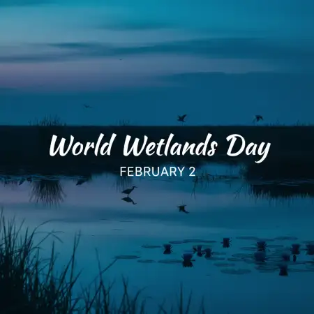 Free World Wetlands Day Essay Background Download
