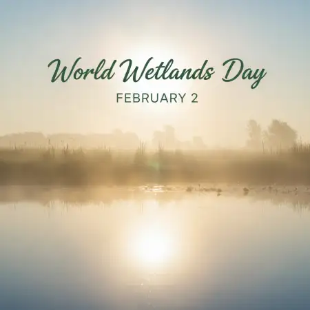 Free World Wetlands Day Facebook Post Background Download