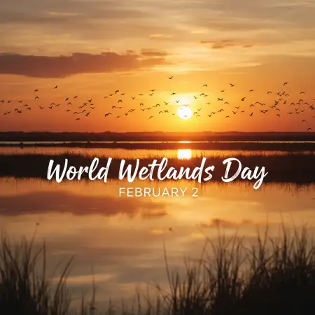 Free World Wetlands Day History Background Download