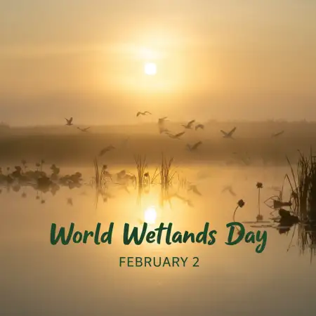 Free World Wetlands Day In Hindi Background Download