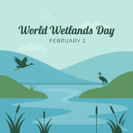Free World Wetlands Day Infographic Background Download