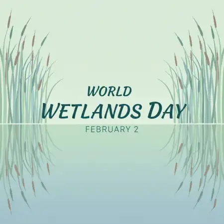 Free World Wetlands Day Instagram Post Background Download