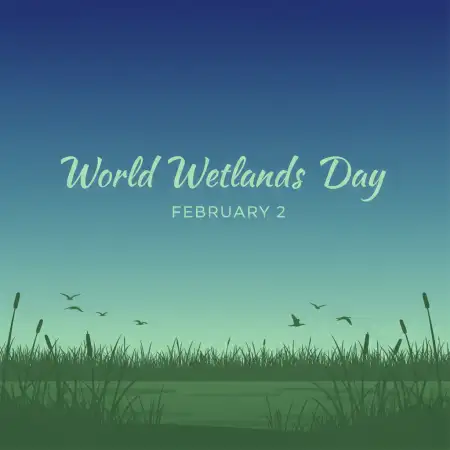 Free World Wetlands Day Short Note Background Download