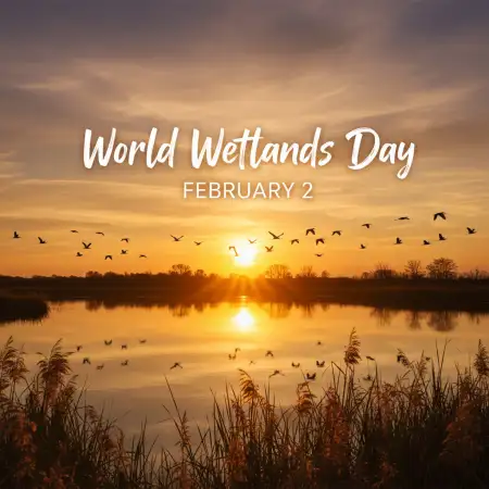 world wetlands day