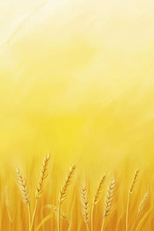 yellow and white background hd combo