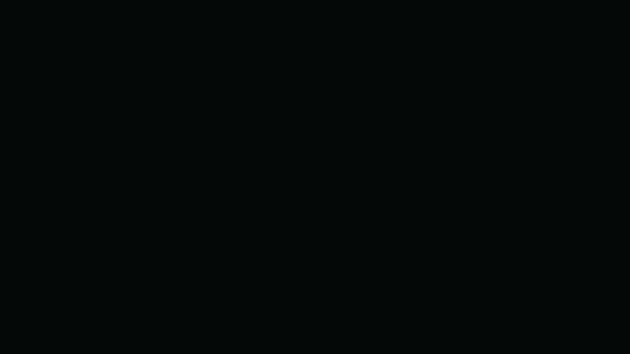 Black Bean Solid Color Background