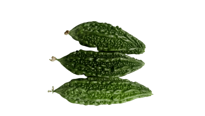 bitter gourd karela vgetable png picture
