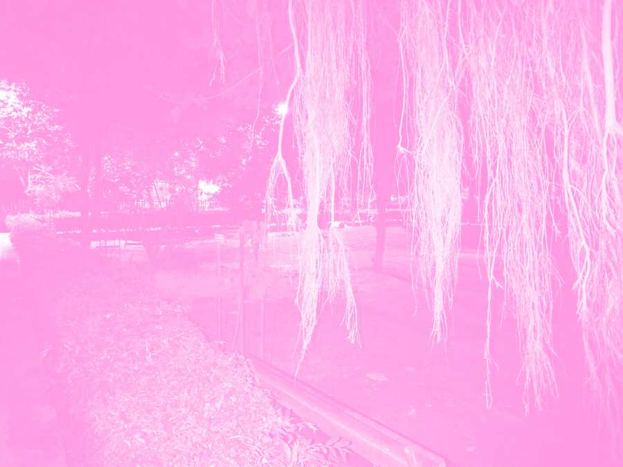Cute Pink Aesthetic Wallpaper - Royalty Free Pink Image Download | Pngmagic 2025 Free Download Cute Pink Aesthetic Wallpaper - High Quality Pink Background