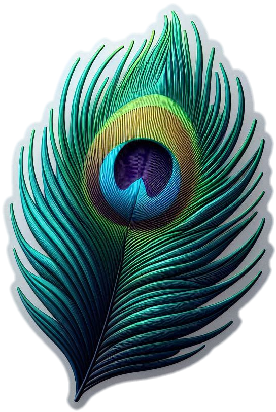 free high-resolution peacock feather png image download