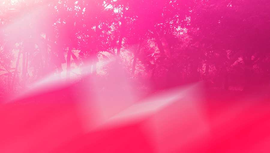 Wallpaper Pink - Royalty Free Pink Image Download | Pngmagic 2025 Free Download Wallpaper Pink - High Quality Pink Background