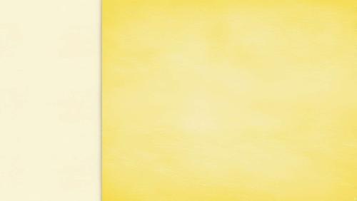 artistic light yellow background images for photography backdrops