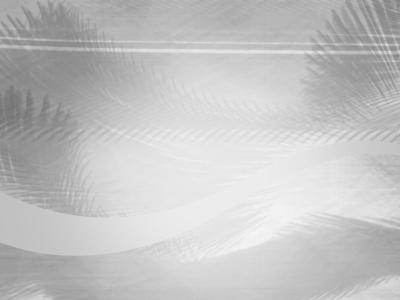 black and white vector background