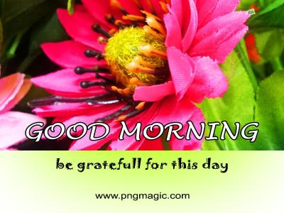 good morning flowers wishes message image