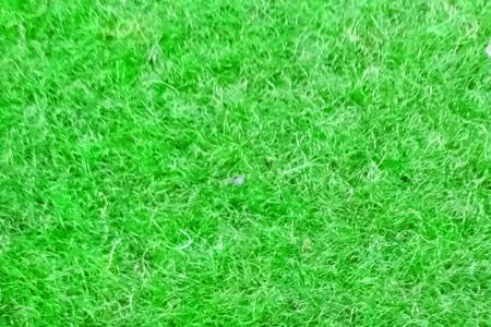 green grass background beautifull grass wallpaper