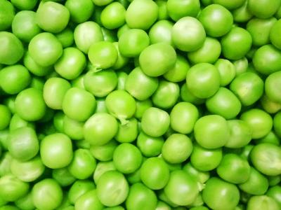 green peas pictures