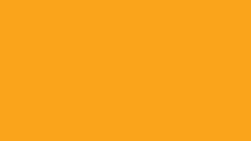 light orange solid color background