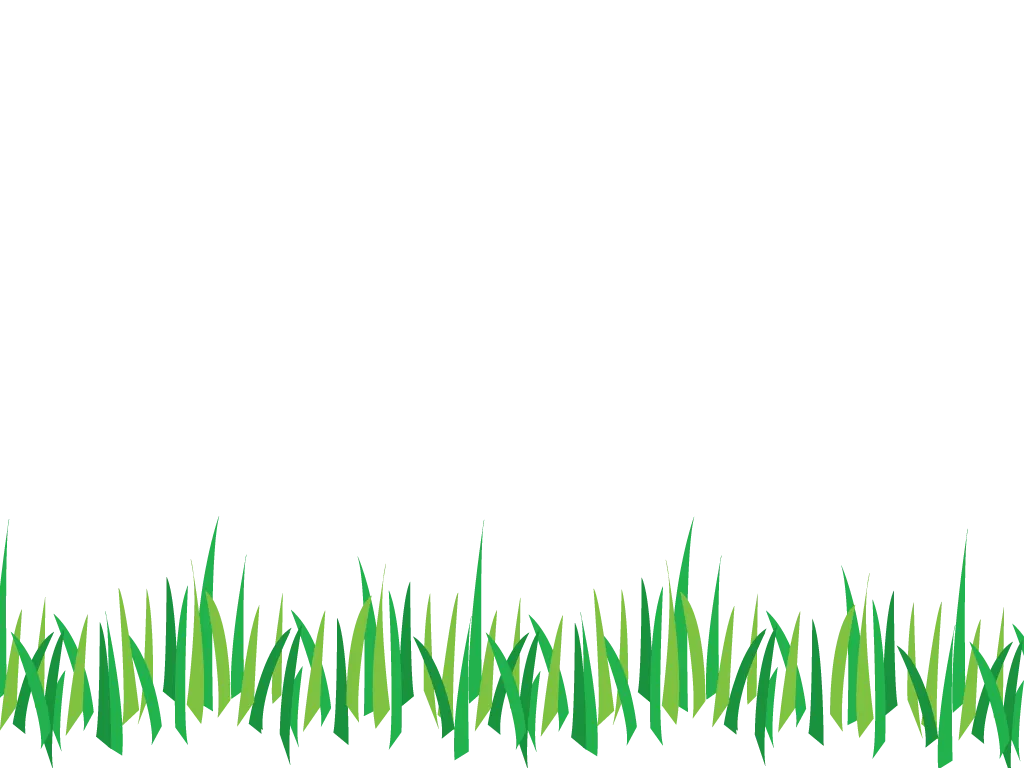 Grass PNG Vector, PSD, Clipart With Transparent - Royalty Free Grass PNG Image | Pngmagic Free Download Grass PNG Vector, PSD, Clipart With Transparent - High Quality Grass PNG PNG Image
