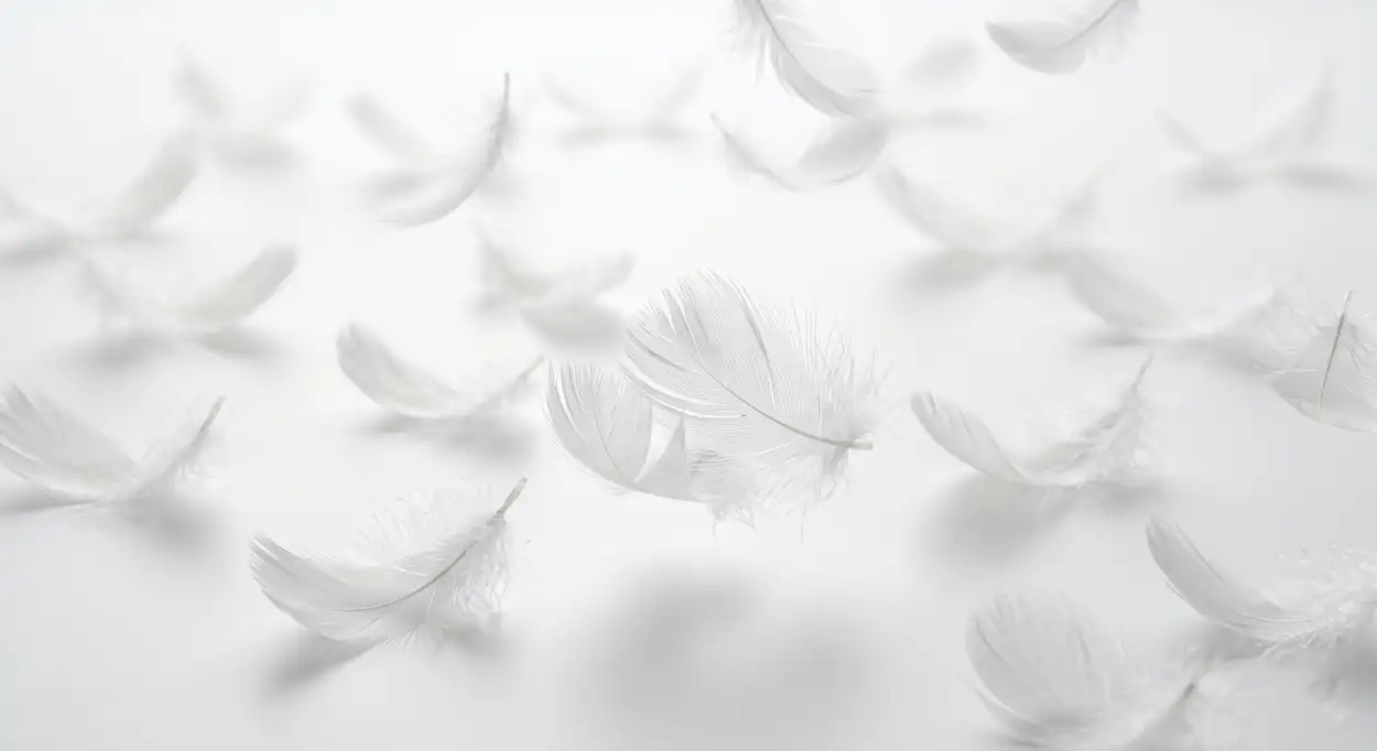 Free Download Aesthetic White Background Hd Wallpaper - High Quality White Background HD Background Image