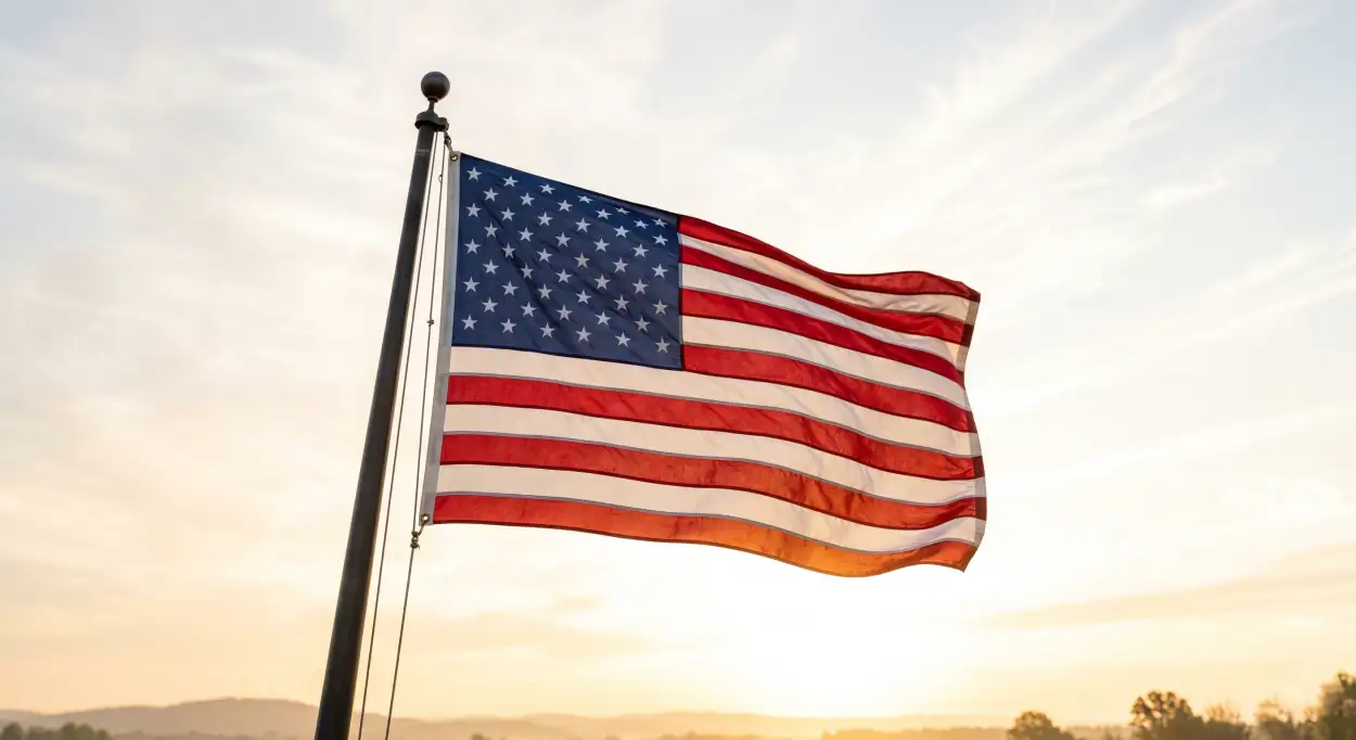 Free Download American Flag Pictures With Military Salute Patriotic Concept - High Quality Usa Flag Image