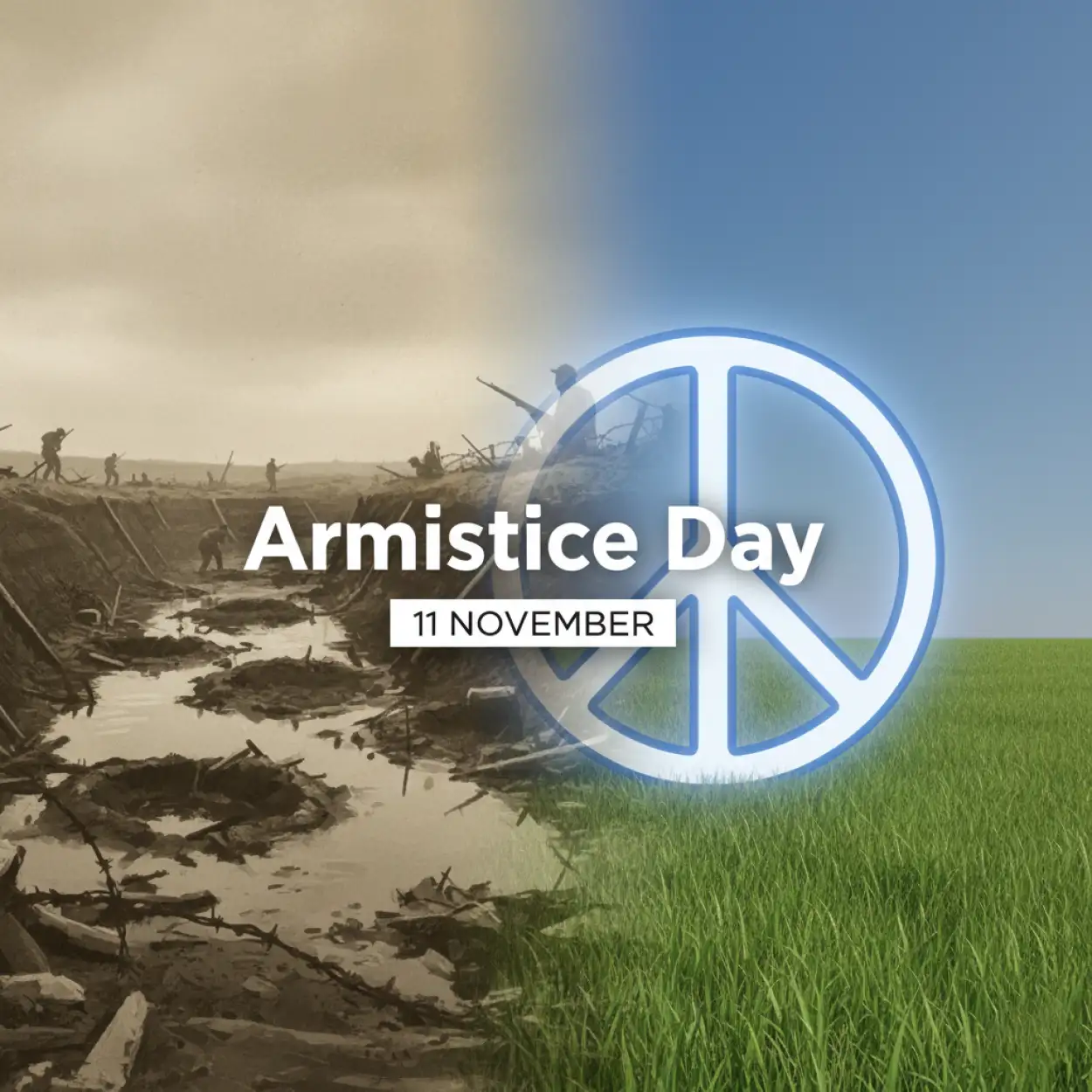 armistice day peace background vector hd