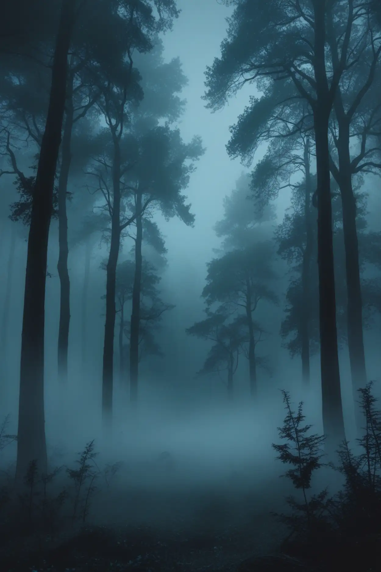 calm nature foggy forest wallpaper