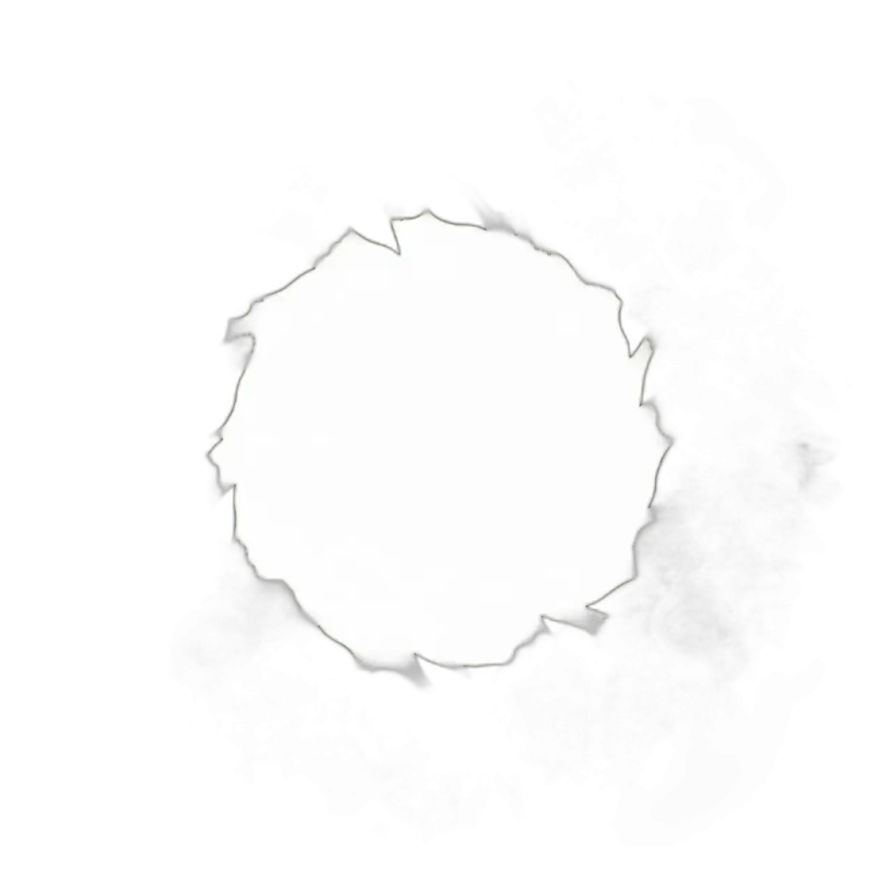 floral border png frame for photo editing