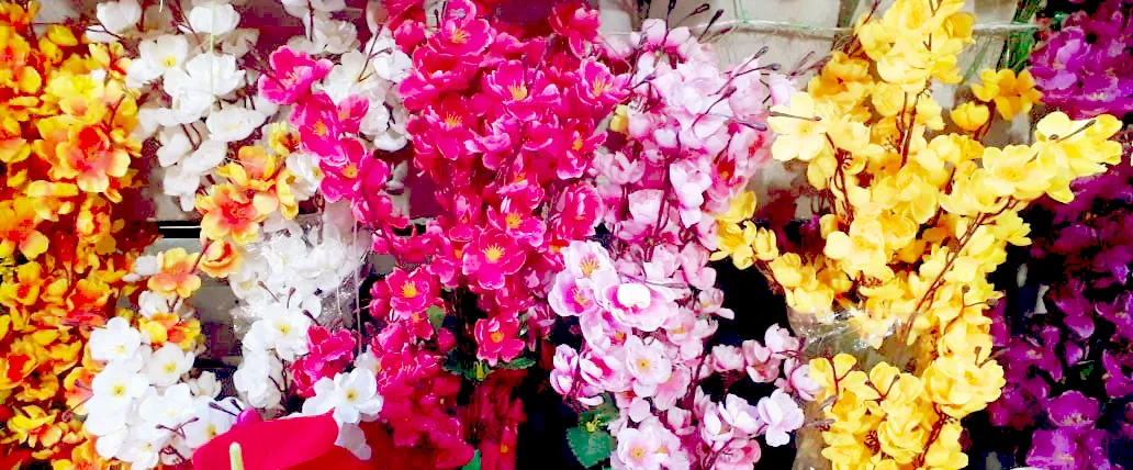 Flower Background