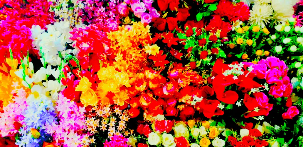 Flower Background Design Images