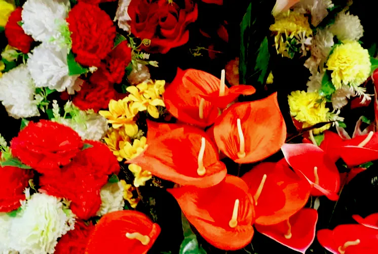 Flower Background Images