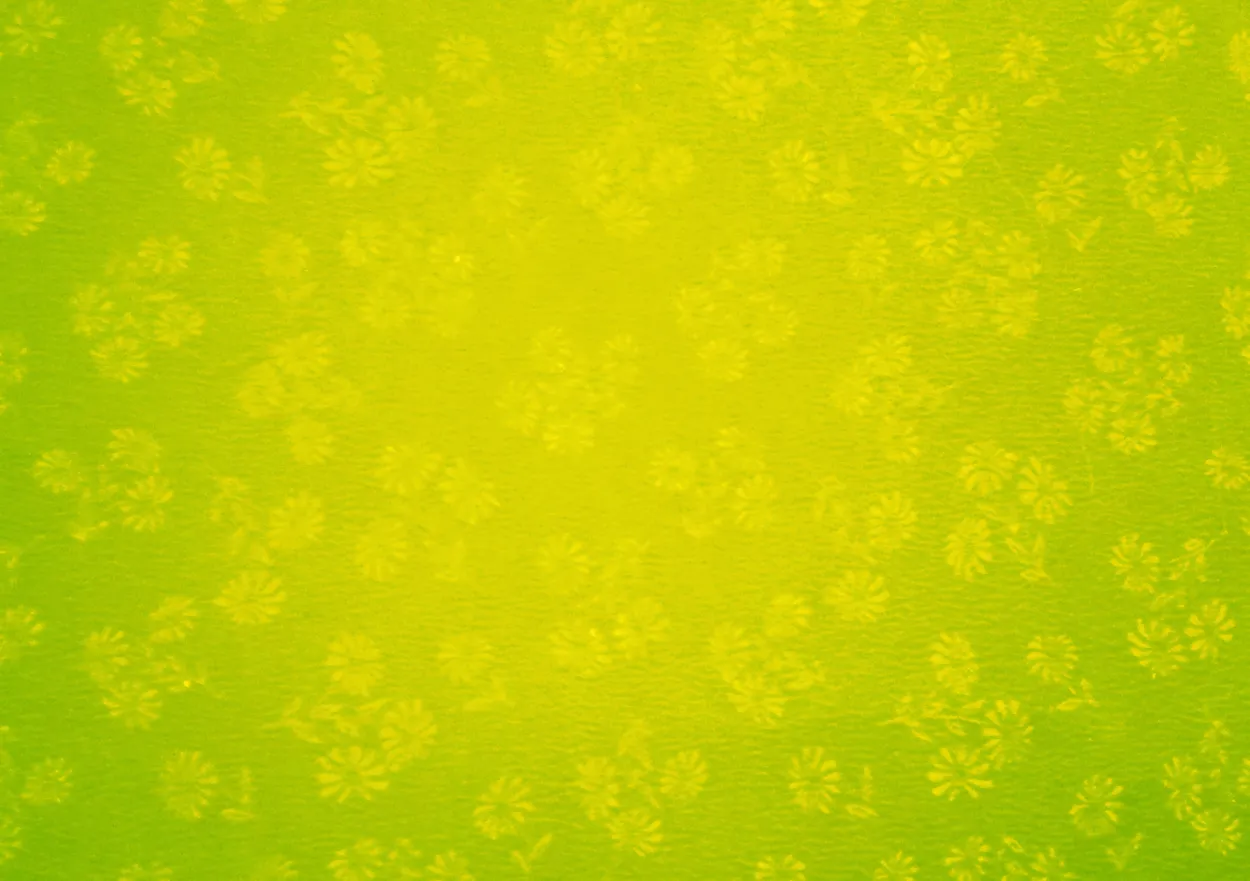 Green and Yellow Background Images