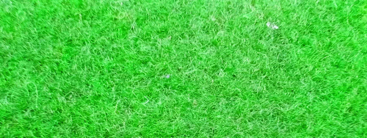 Green Grass Background Beautifull Grass Wallpaper