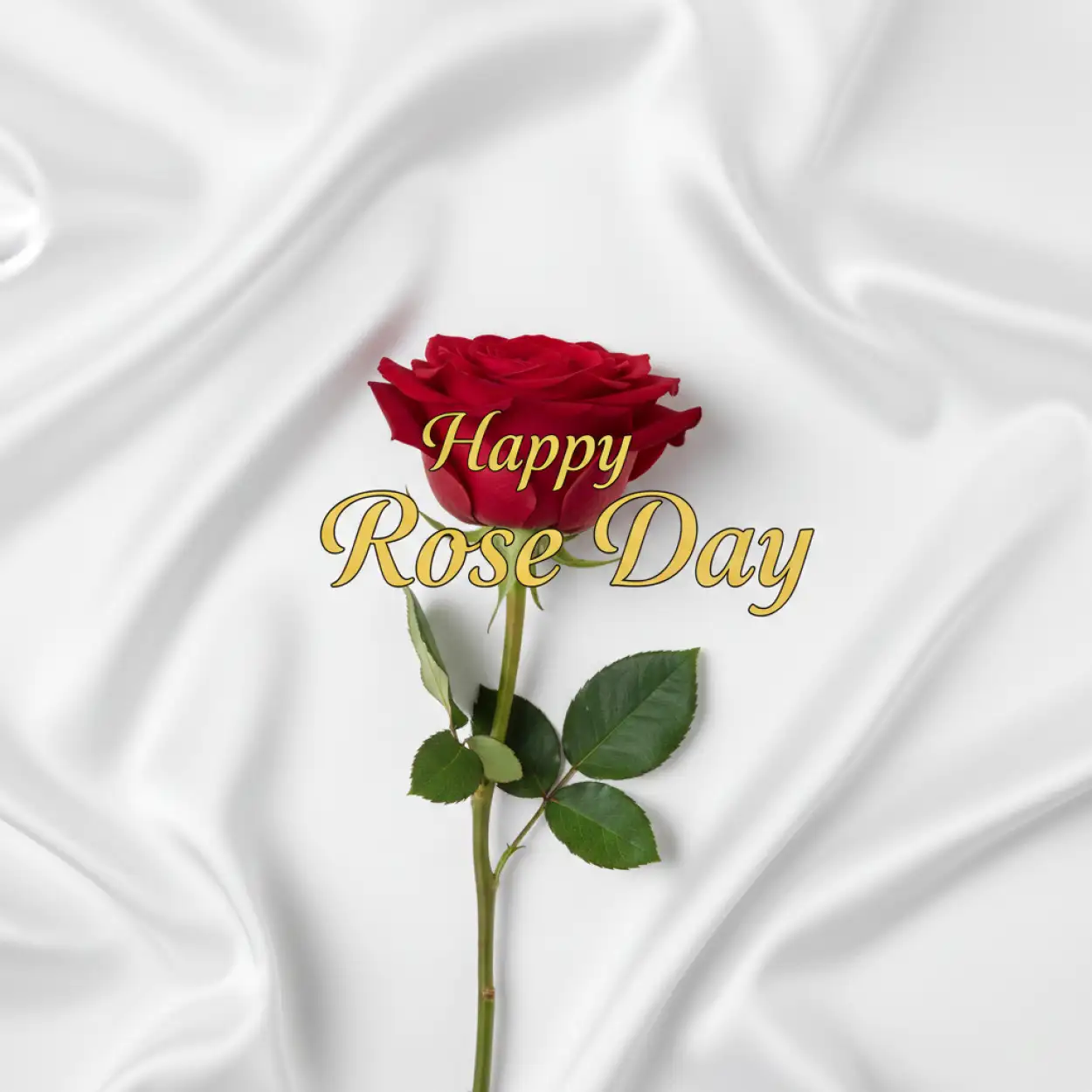 happy rose day digital greeting