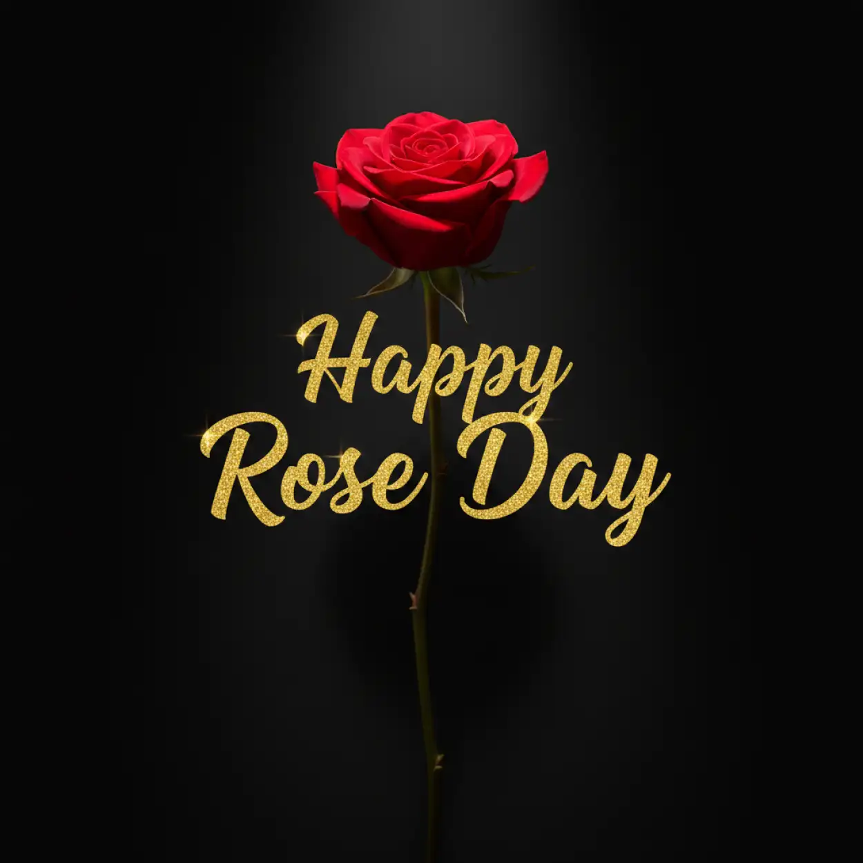happy rose day rose day wishes 2026