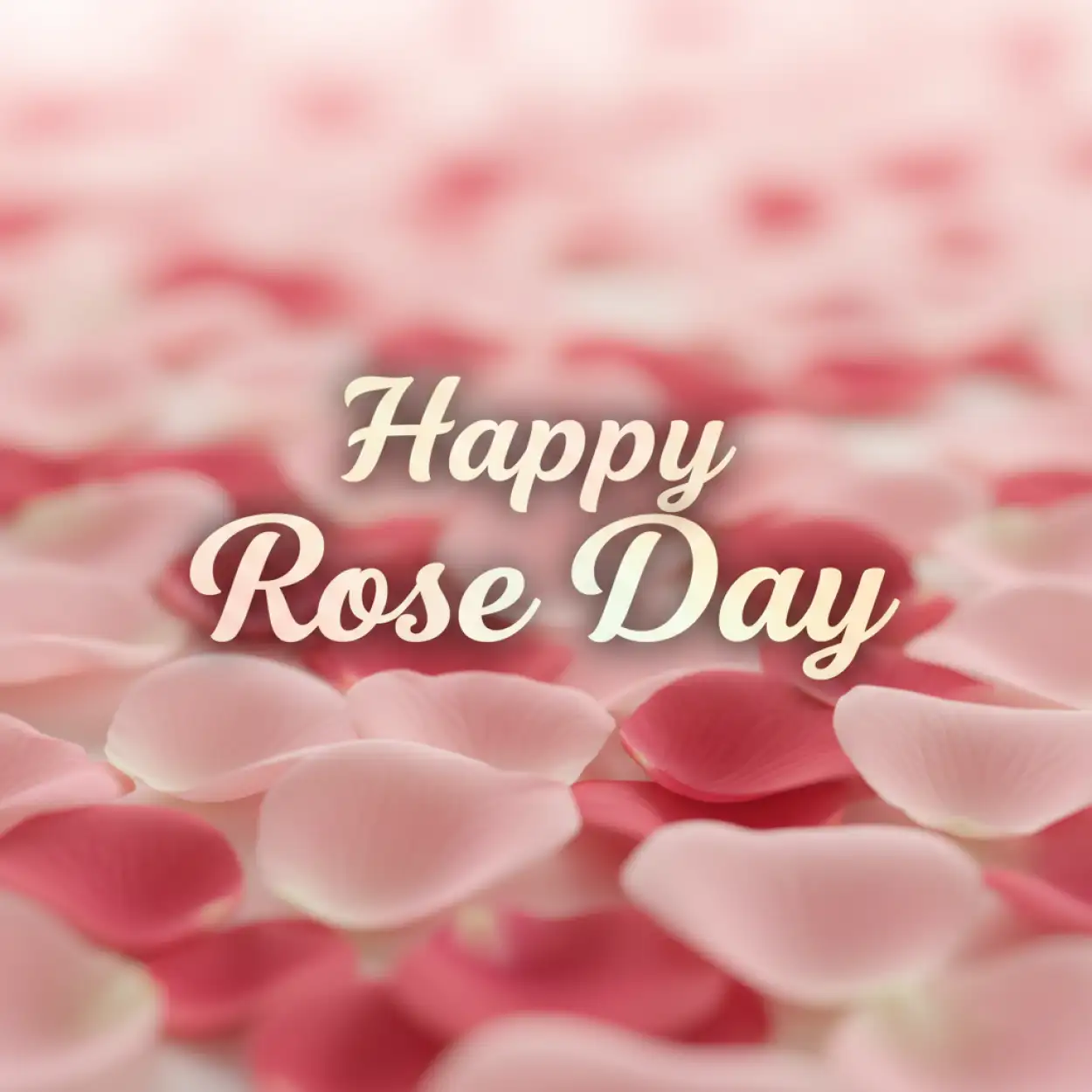 happy rose day rose with heart