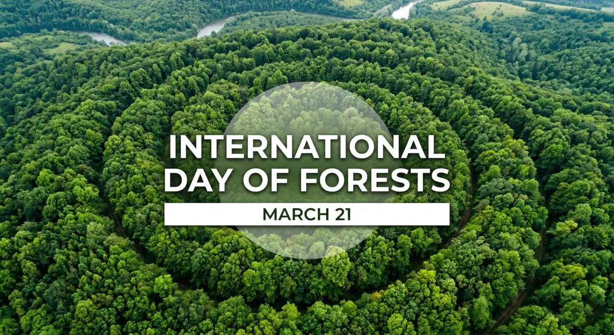 international day of forests poster ideas