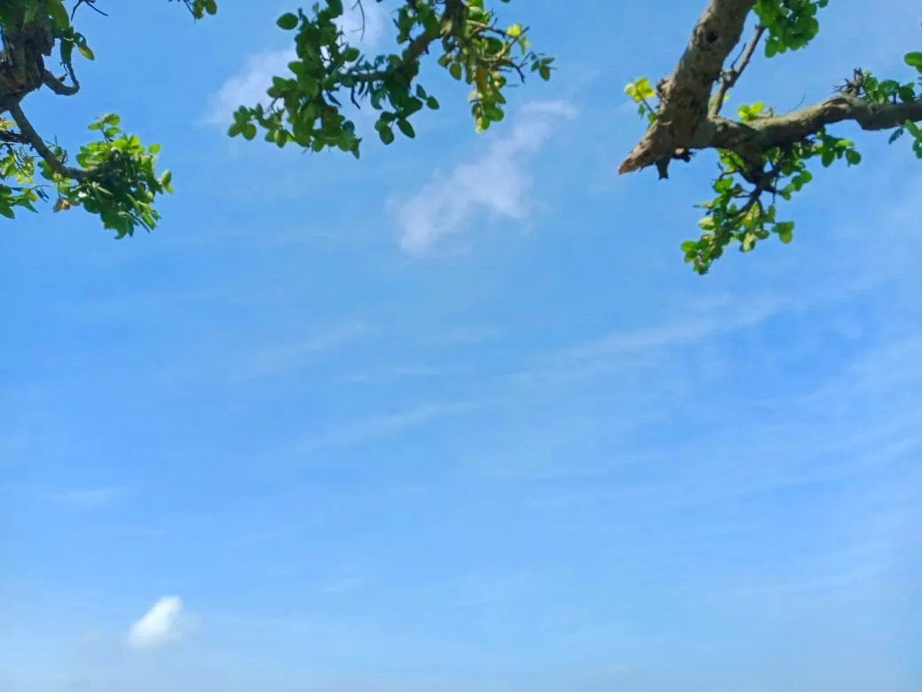 Light Sky Blue Background Wallpaper