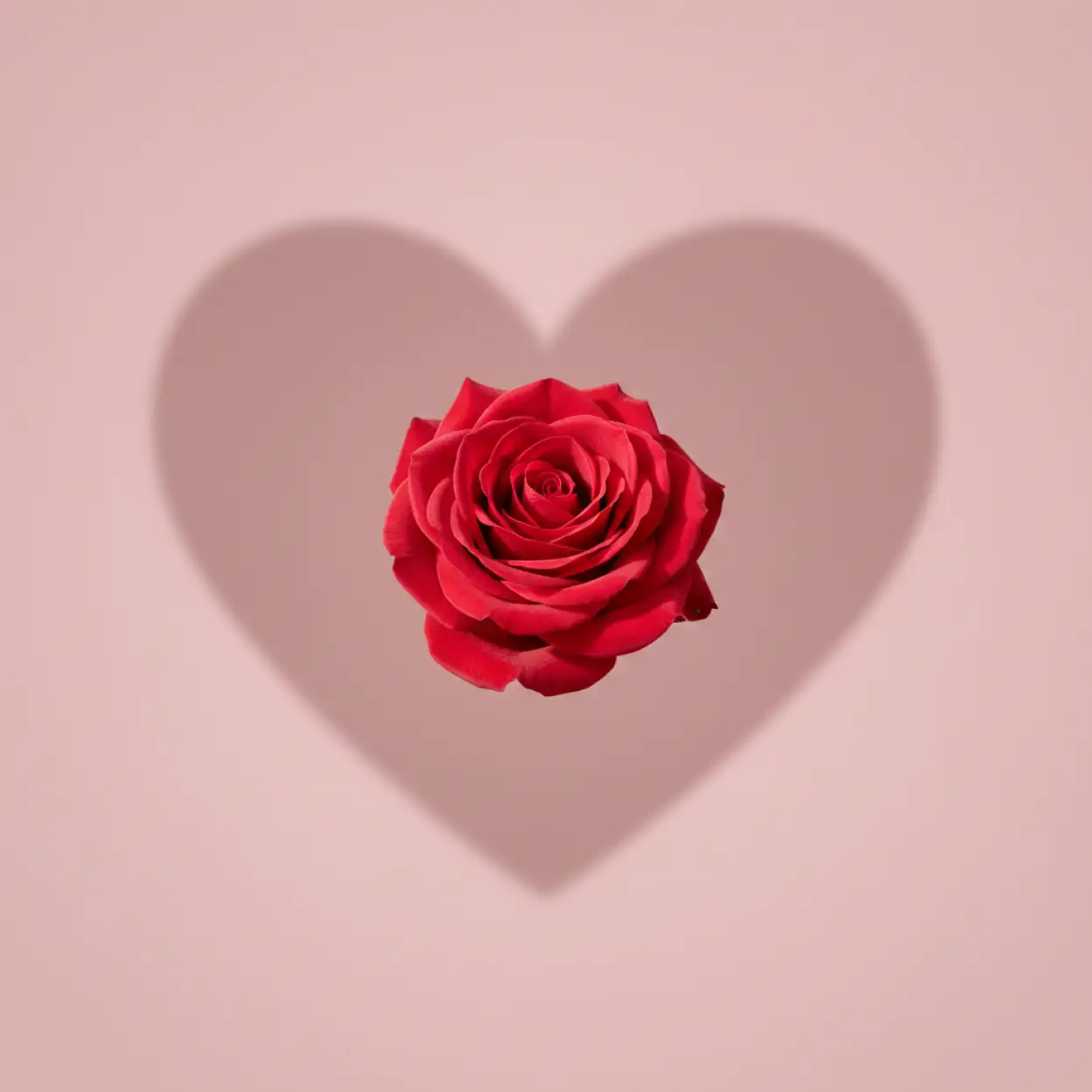modern minimalist valentines day background